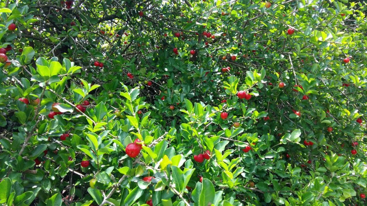הוילה Rancho Litoral Buzios מראה חיצוני תמונה